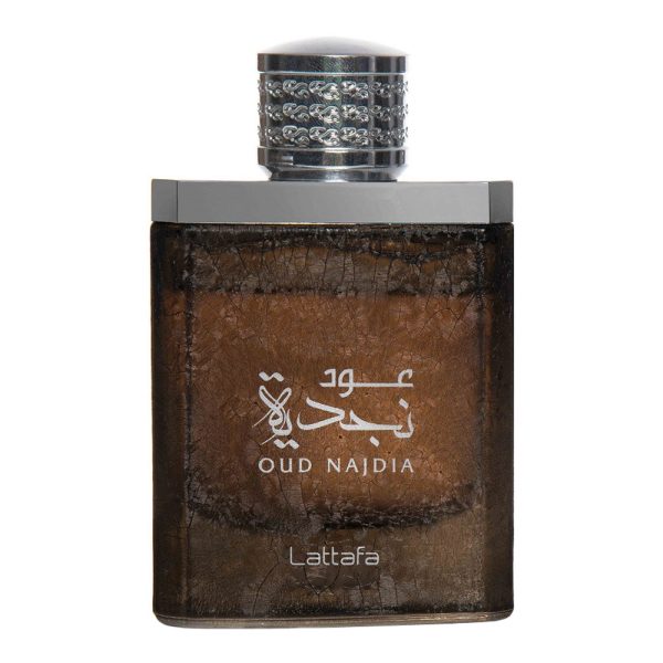 Oud Najdia woda perfumowana spray 100ml Online Hot Sale