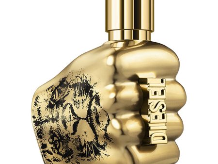 Spirit Of The Brave Intense Pour Homme woda perfumowana spray 125ml Fashion