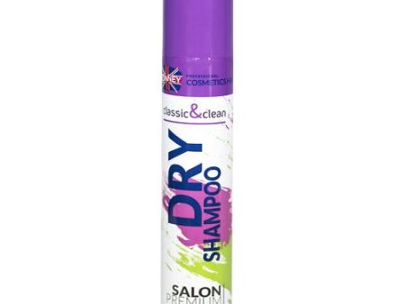 Professional Salon Premium Dry Shampoo odświeżający suchy szampon do włosów 200ml For Discount